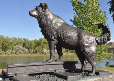 The Shep Memorial Statue in Fort Benton during the summer. 